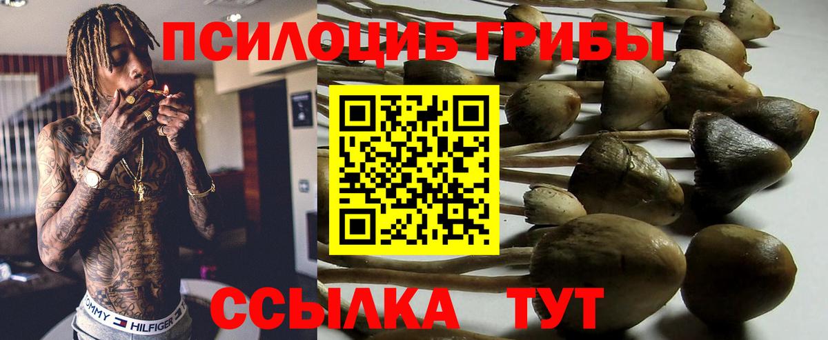 Псилоцибиновые грибы MAGIC MUSHROOMS Воронеж